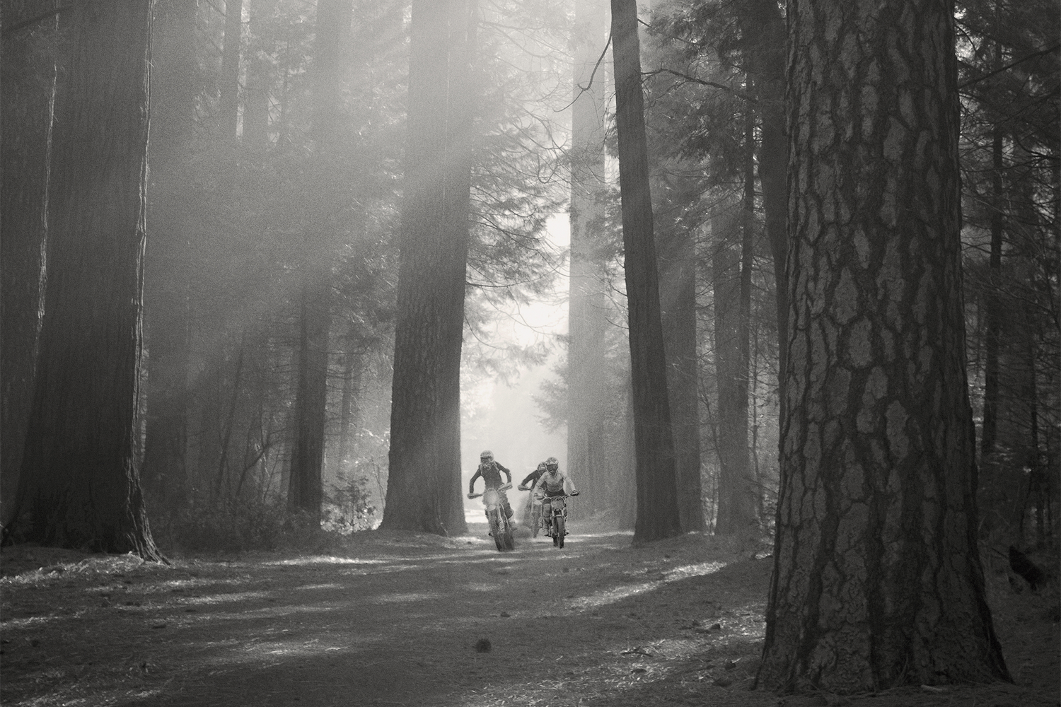 Group of three electric dirt bike riders on a forrest trail 